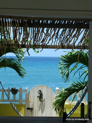 Treasure Beach, Jamaica accommodations. Aricona